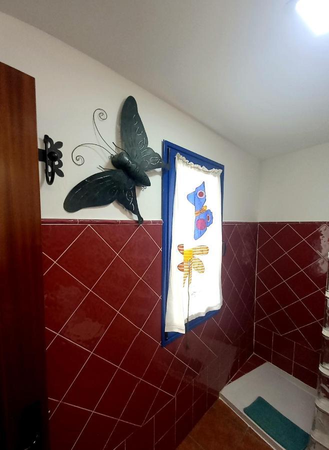 Casa Pescado Y Mariposas Apartment Аресифе Екстериор снимка